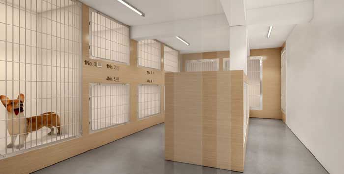 210平米開(kāi)封寵物店設(shè)計(jì)效果圖